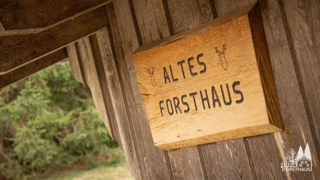 Altes Forsthaus Im Harz Elbingerode (Saxony-Anhalt) Exterior foto
